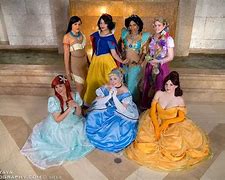 Image result for Disney Princess Group Costumes Armour