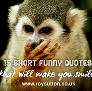 Image result for Quotes Funny Jokes and Laughs