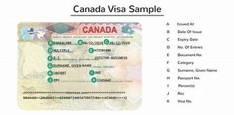 Image result for Canadian Temporary Visa
