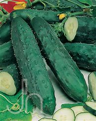 Image result for Cucumber Slicer