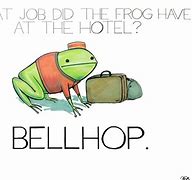 Image result for Frog Humor