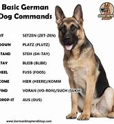 Image result for Stages of German Shepherd Meme