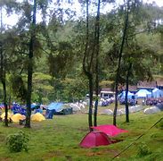 Image result for Berapa Harga 1 Lokal Tenda