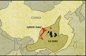 Image result for Red Panda Distribution Map