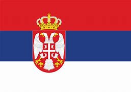 Image result for Serbian Black Flag