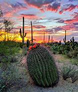 Image result for Western Desert Scene Cactus