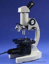 Image result for Monocular Compound Light Microscope