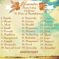 Image result for November Thankfulness Challenge