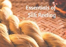 Image result for Silk Reeling