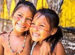 Image result for Indigenous Peoples Of The Americas