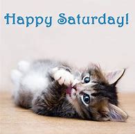 Image result for Happy Saturday with Cats