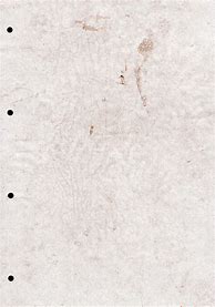 Image result for White Grunge Paper