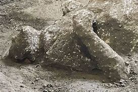 Image result for Mount Vesuvius Pompeii Bodies