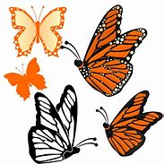 Image result for Butterfly Vector Free