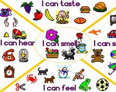 Image result for 5 Senses Smell