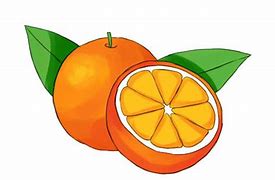 Image result for Orange Slice Drawing