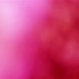 Image result for Pink Red Background HD
