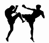 Image result for Kickboxing Graphics