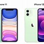 Image result for iPhone 12 vs 8 Size