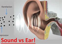Image result for Ear with Sound Waves