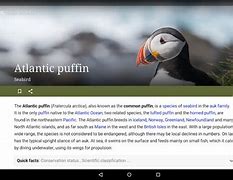 Image result for Wikipedia App Icon