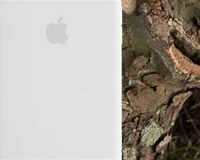 Image result for 8 Silicone iPhone Case Apple