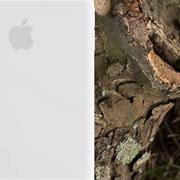 Image result for iPhone 8 Official Silicone Case
