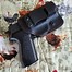 Image result for P228 Appendix Holster