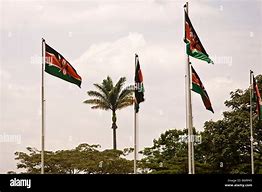 Image result for Nairobi Kenya Flag
