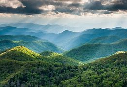 Image result for Appalachian Mountains Forest