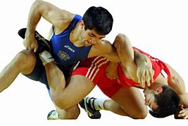 Image result for Wrestling Games Online