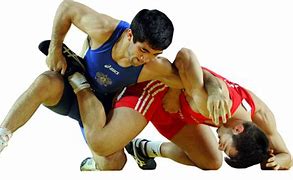 Image result for Self-Defence Wrestling Icon