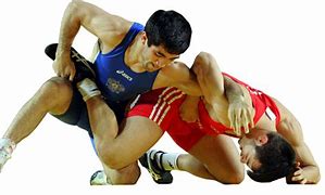 Image result for Wrestling Sports Quotes