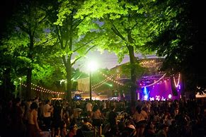 Image result for Summer Music Festival