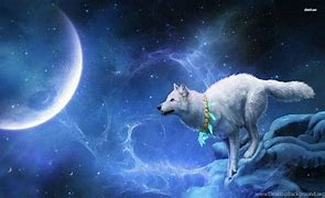 Image result for Space Wolf Funny Background