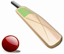 Image result for Transparent Cartoon Cricket