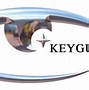 Image result for Keyguard Logo