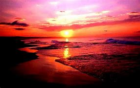 Image result for Cute Beach Wallpapers