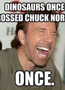 Image result for Chuck Norris Awesome Memes