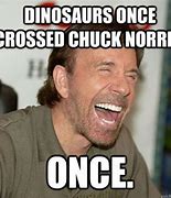 Image result for Chuck Norris Memes Funny