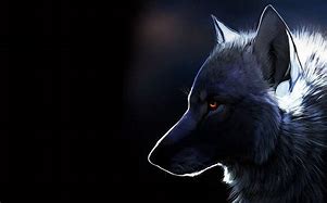 Image result for Sad Lone Wolf