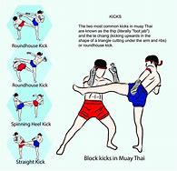 Image result for Muay Thai Techniques
