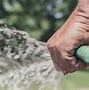 Image result for Water Conservation
