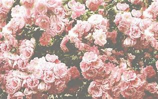 Image result for Vintage Pink Wallpaper