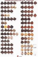 Image result for Types of Hair Color Streaks