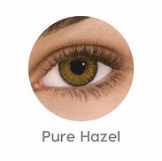 Image result for Pure Hazel Contact Lenses