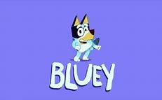 Image result for Bluey Toy House