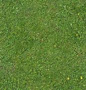 Image result for Grass Ground Texture