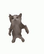 Image result for Happy Cat Danceing Meme
