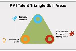 Image result for PMI Talent Triangle